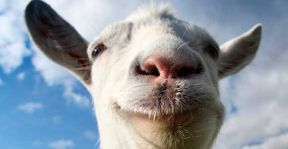 goat simulator for pc free